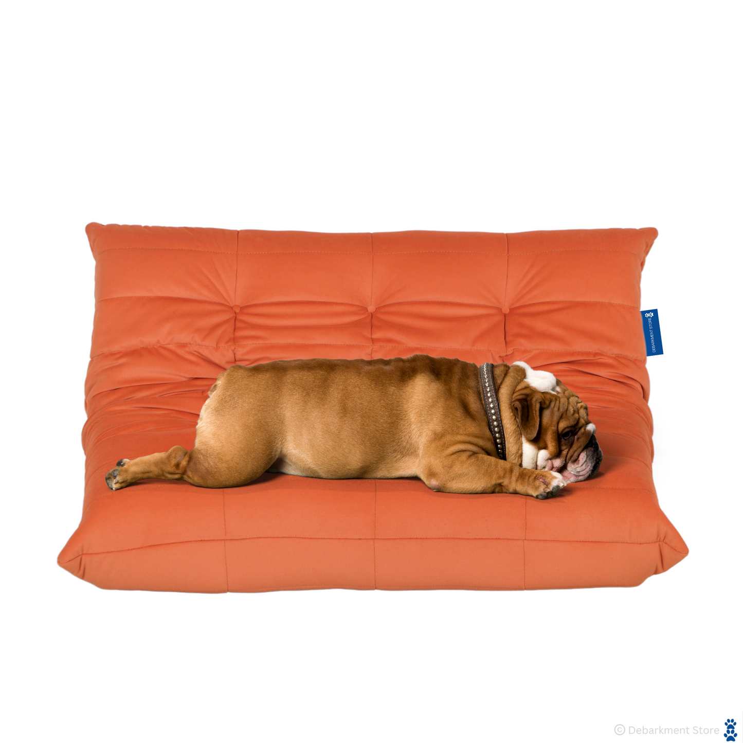 Dogo Dog Bed