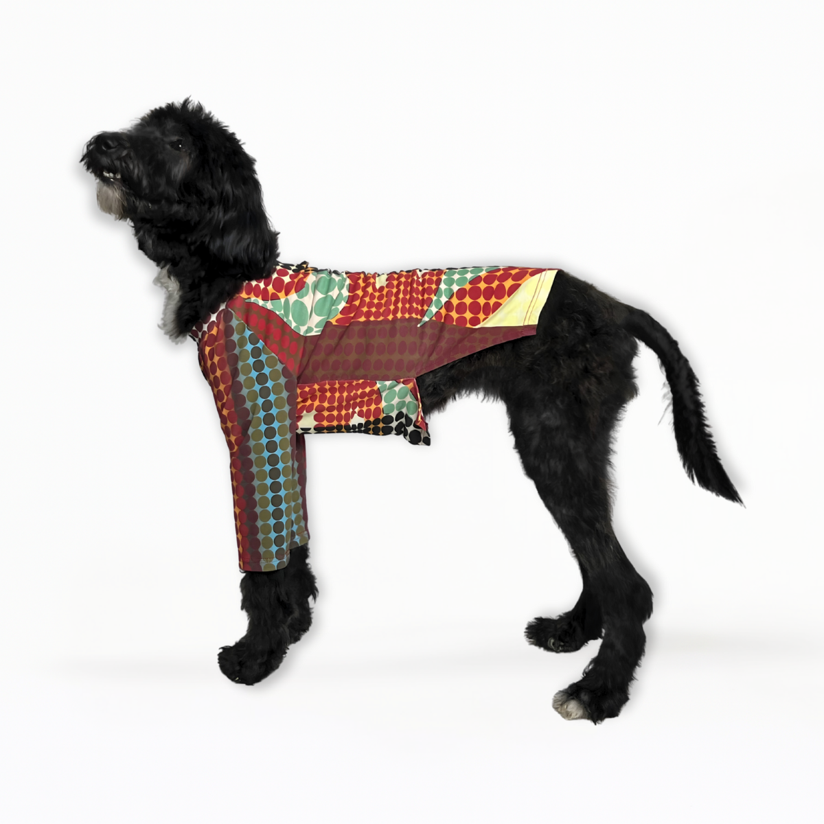 Cyber Jean Pawtier Top