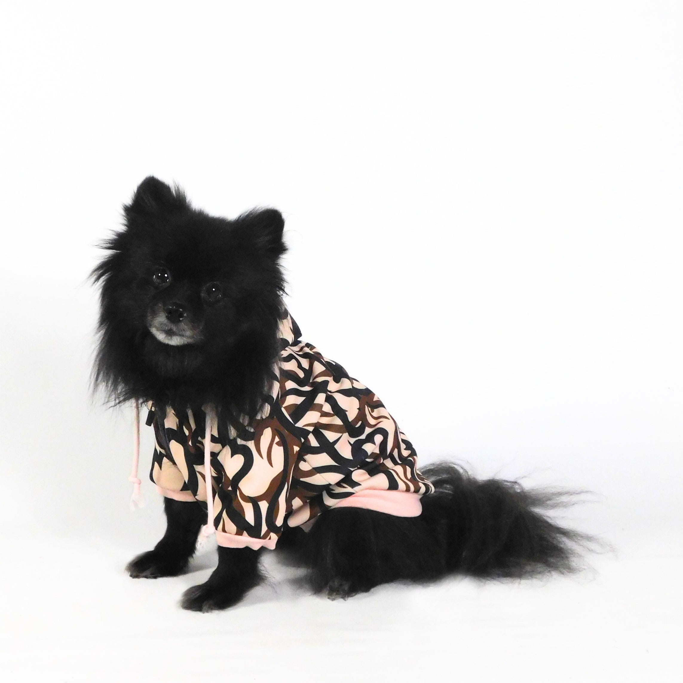 Give Treats a Chance Zip Up